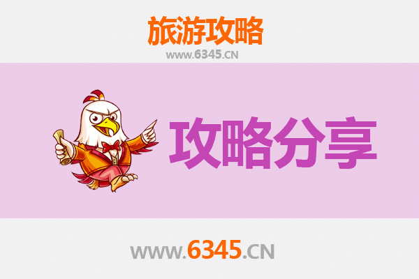 丽江玉龙旅游攻略：跟团与自由行深度对比